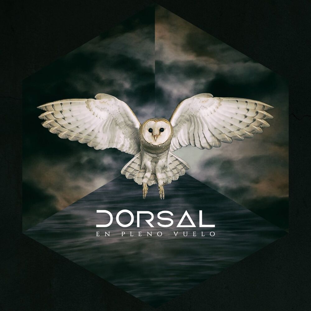 Picture of Dorsal
