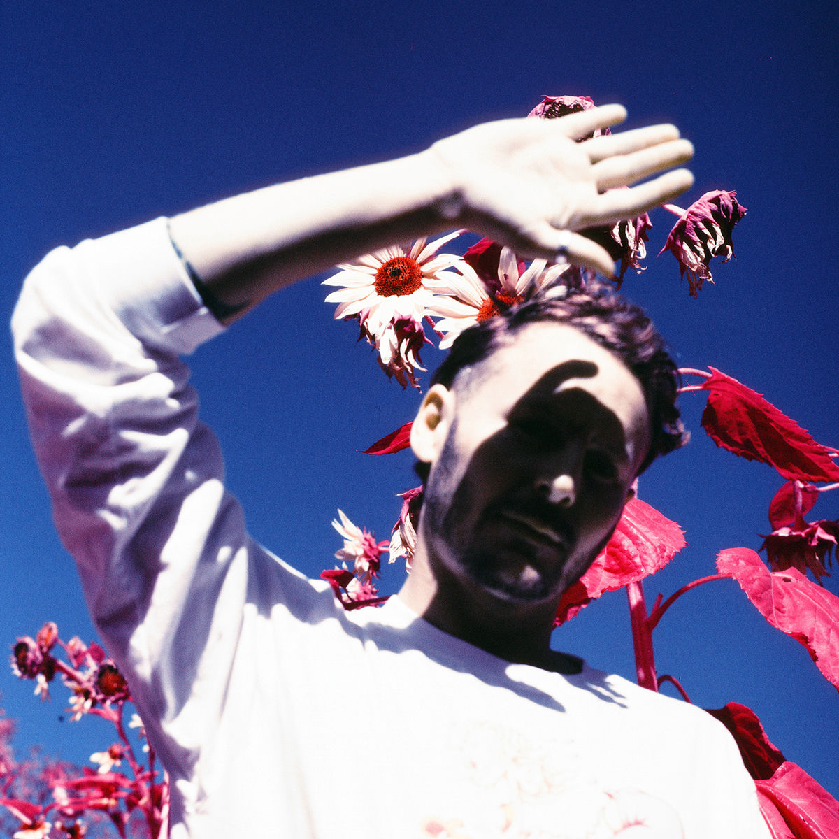 Artist picture of Ben Howard