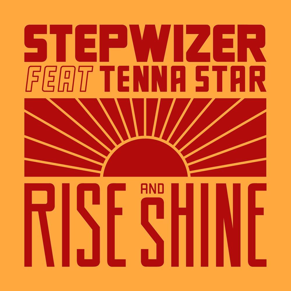 Picture of Stepwizer