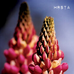 Picture of HRSTA