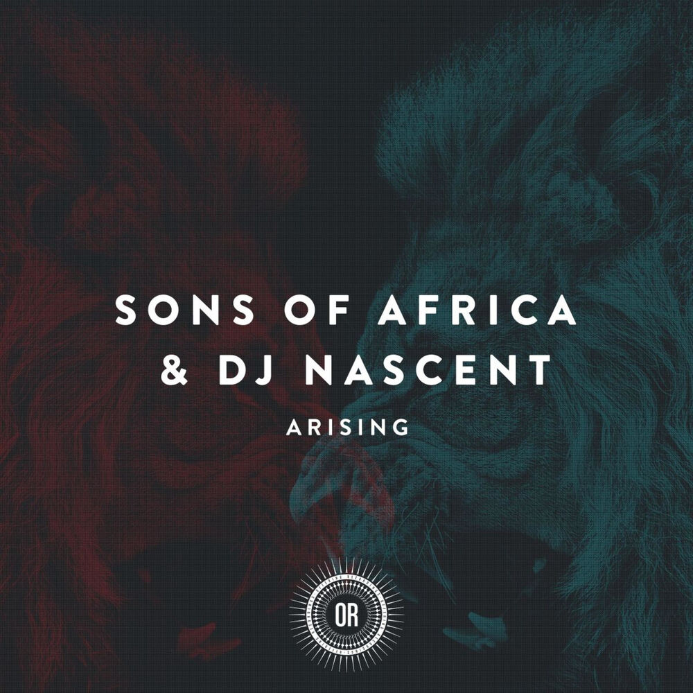 Picture of Sons of Africa