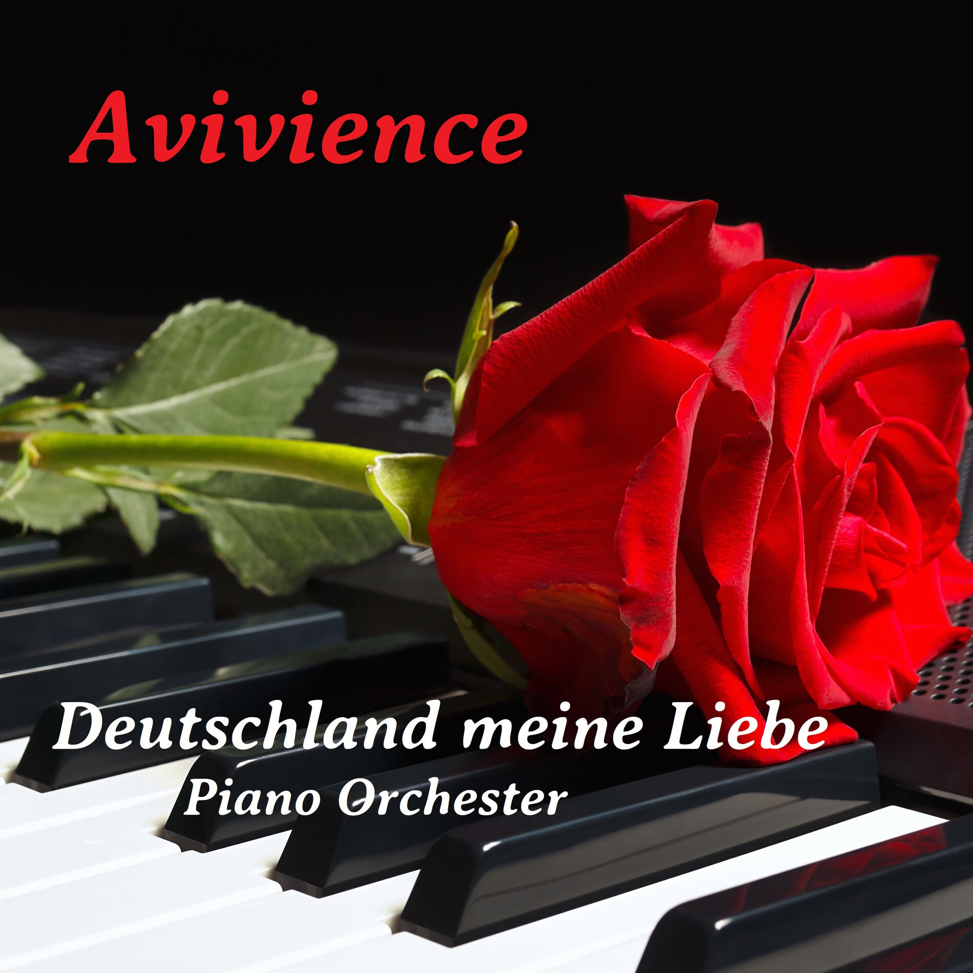 Avivience