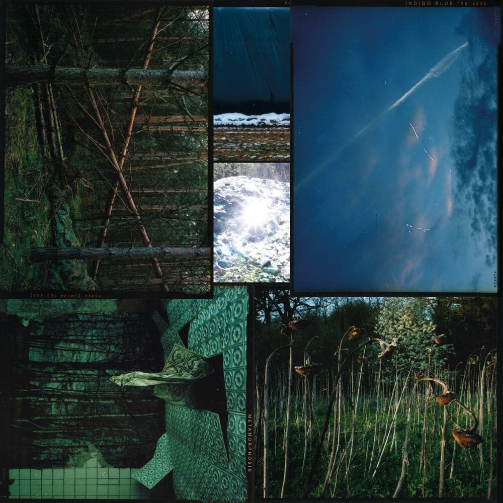 Picture of Indigo Blue