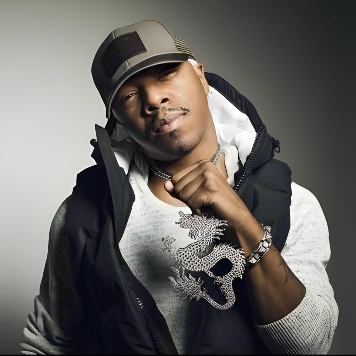 Artist picture of Sisqo