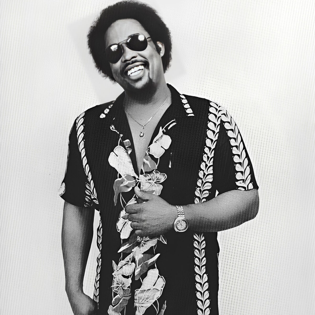 Artist picture of Steve Parks