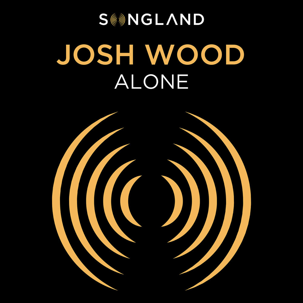 Picture of Josh Wood