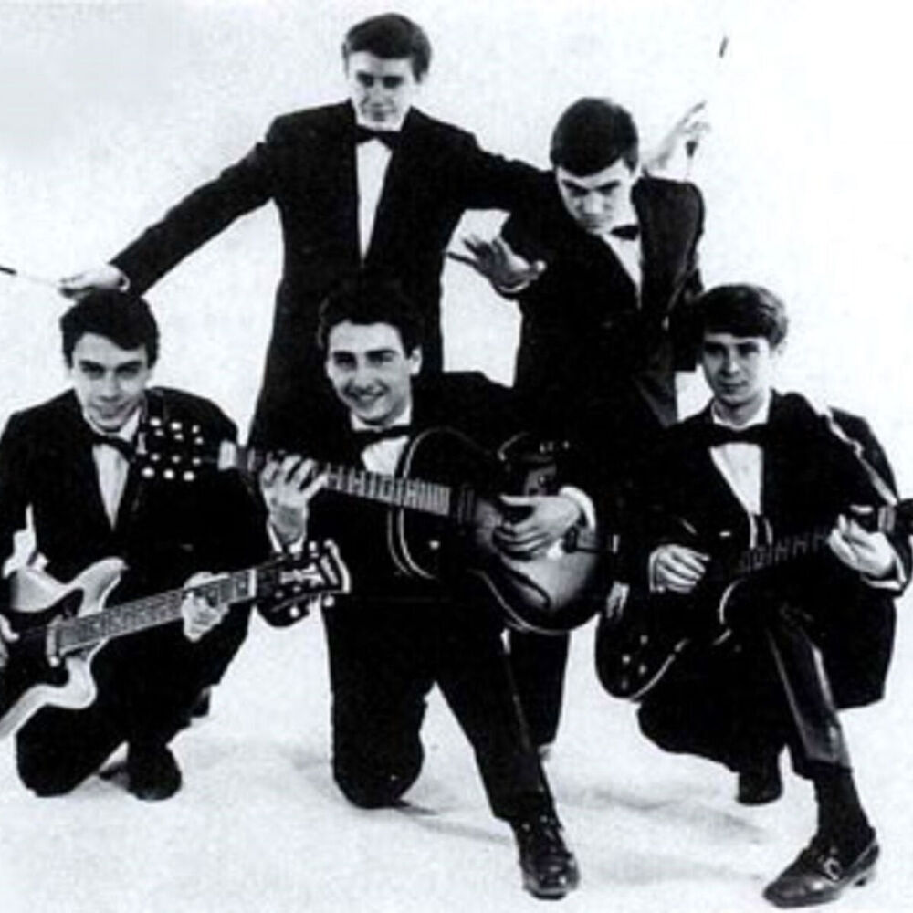 Picture of Les Pingouins
