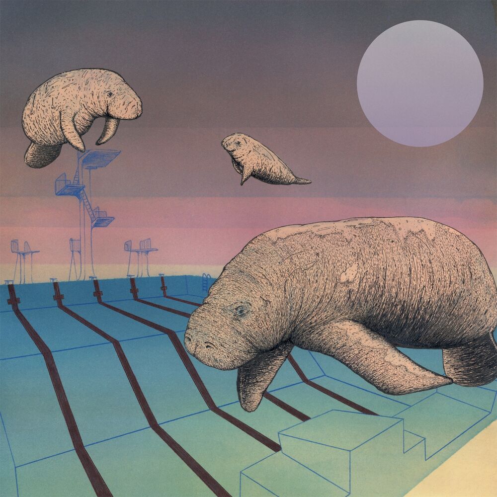 Picture of Piscine