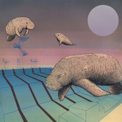 Picture of Piscine