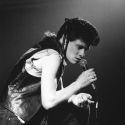 Picture of Foetus