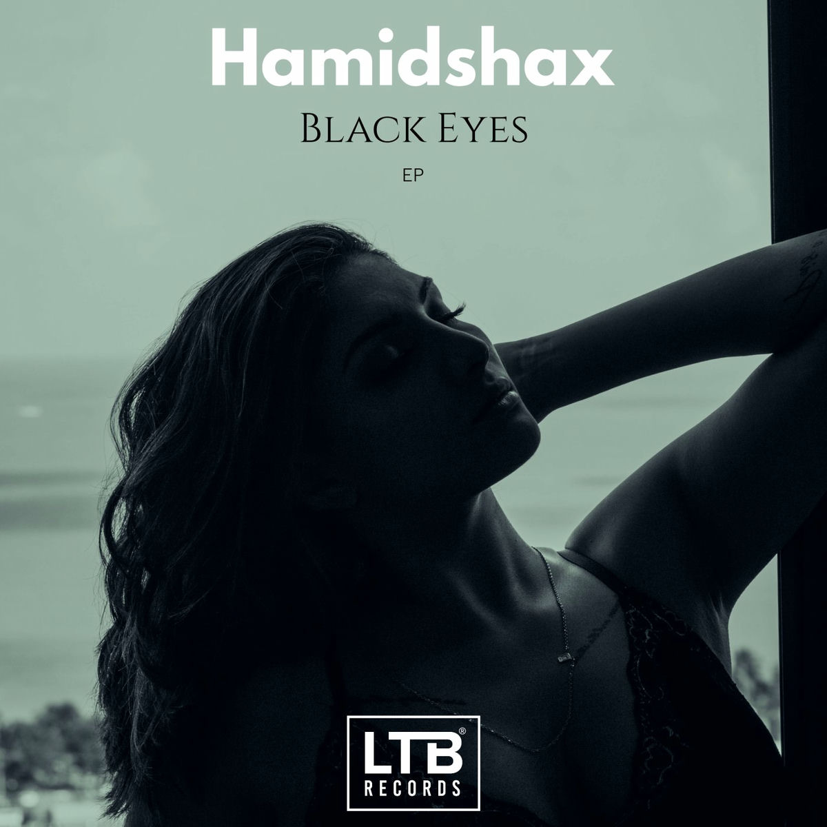 Artist picture of Hamidshax