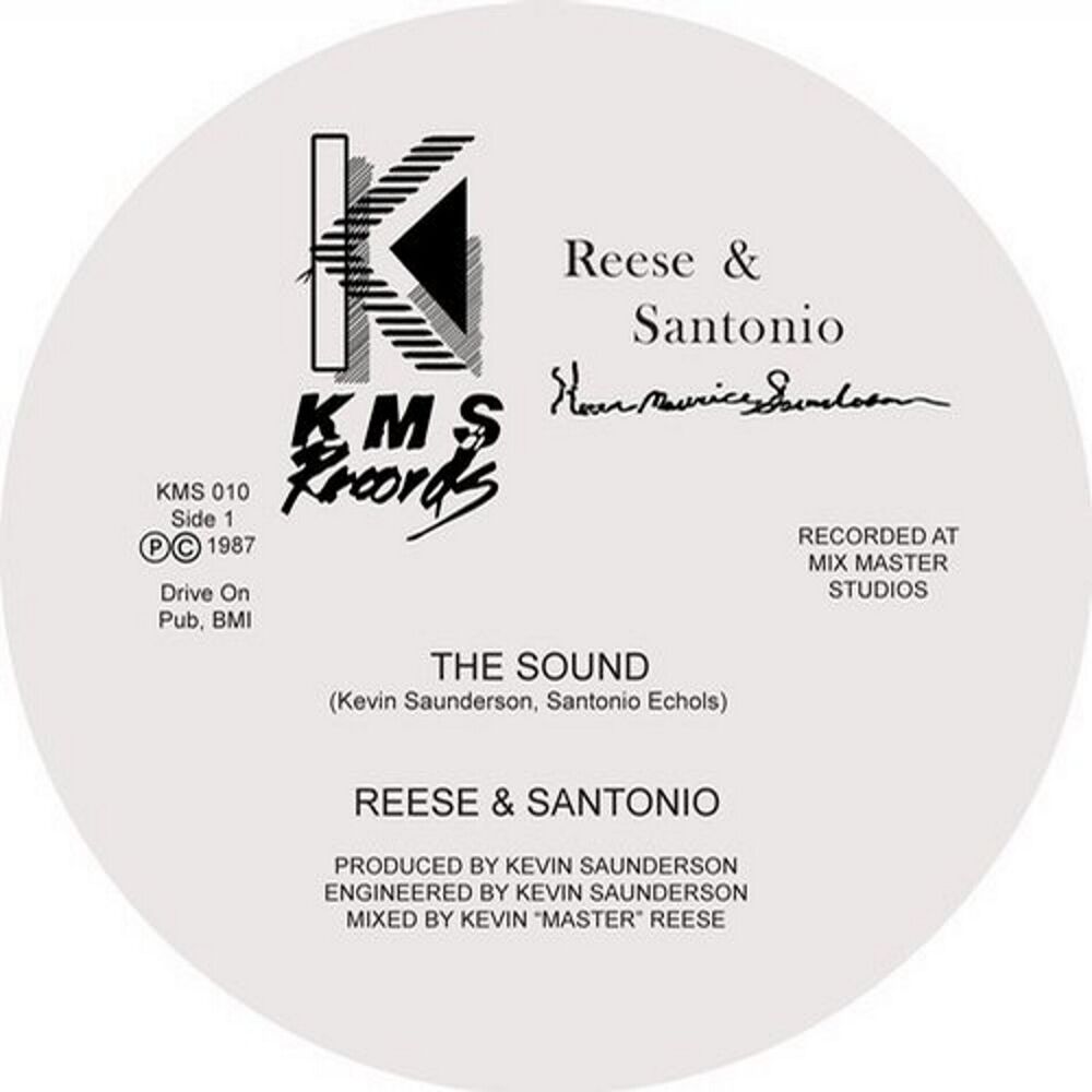 Picture of Reese & Santonio