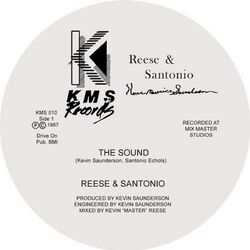 Picture of Reese & Santonio