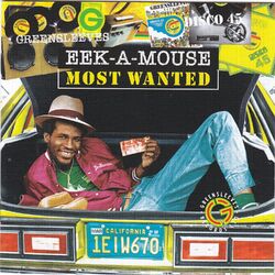 Picture of Eek A Mouse