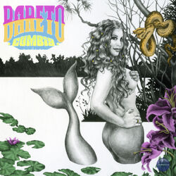 Bareto