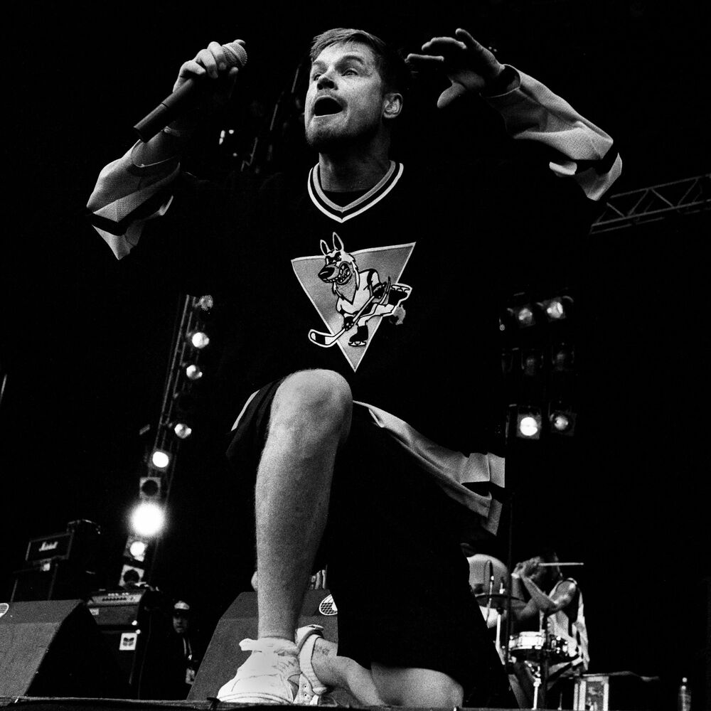 Picture of Dog Eat Dog