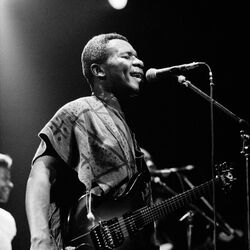 Picture of Lapiro De Mbanga