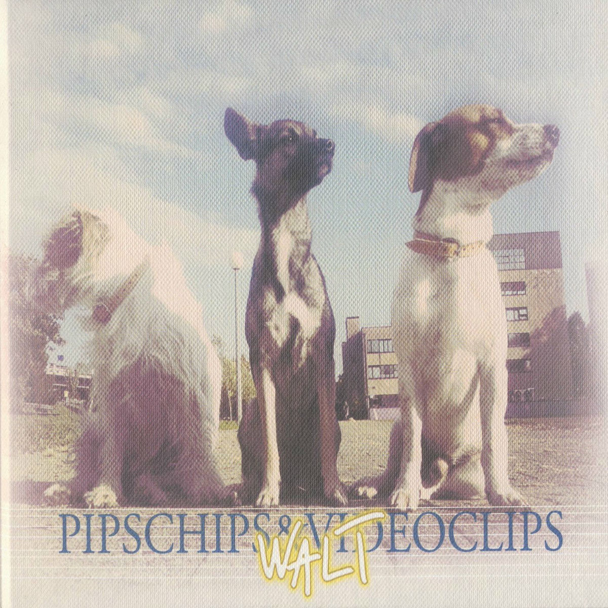 Pipschips&Videoclips