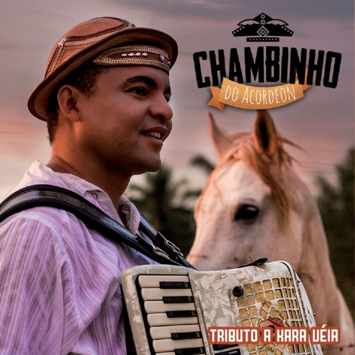 Chambinho do Acordeon