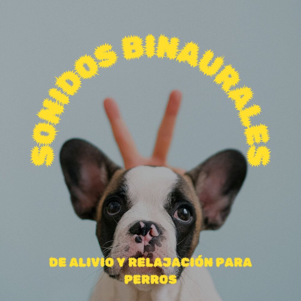 Picture of Música para perros con ansiedad