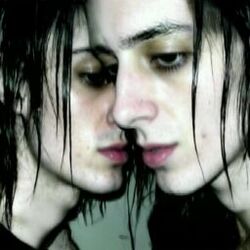 Picture of amne