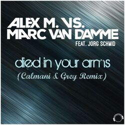 Picture of Marc Van Damme