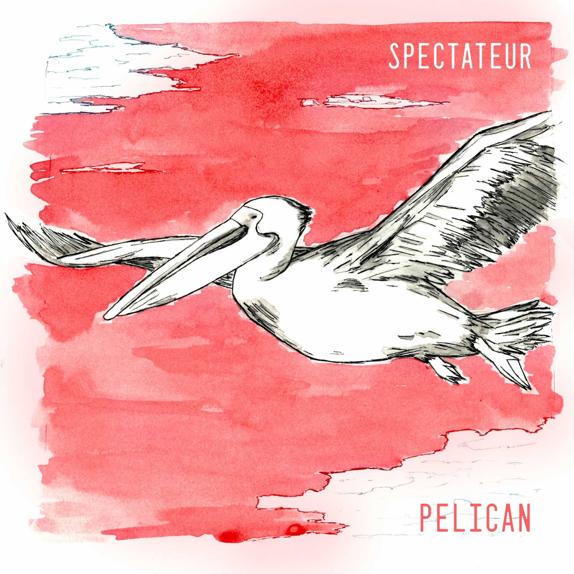 Spectateur