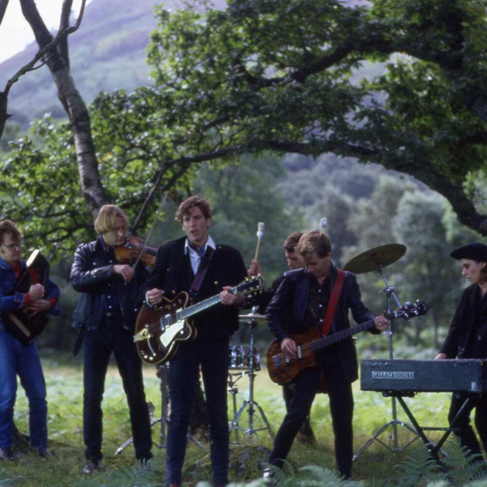 Picture of The Triffids
