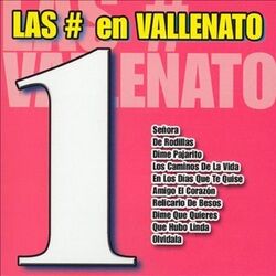 Picture of Vallenato All Stars
