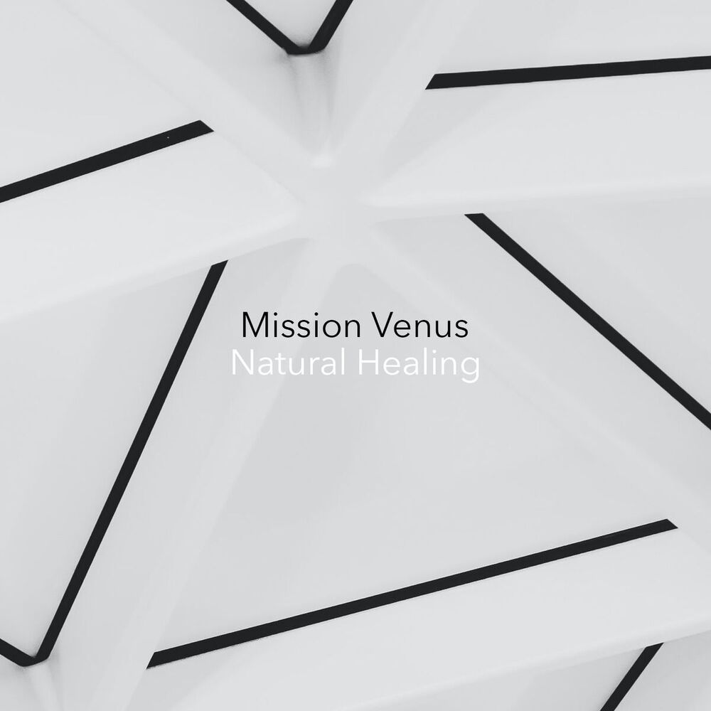 Picture of Mission Venus