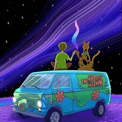 Picture of mystery machine boyz