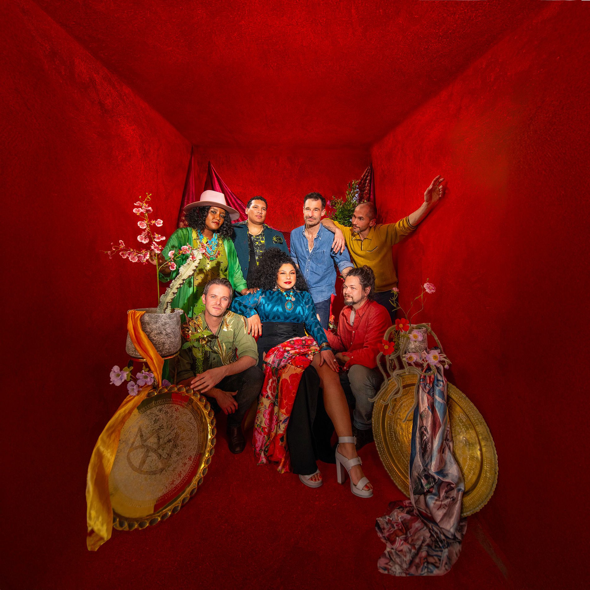 Artist picture of The Cat Empire