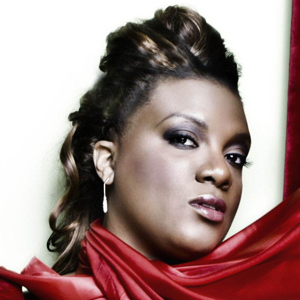 Photo de l'artiste The Terri Green Project