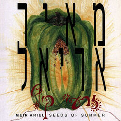Picture of Meir Ariel