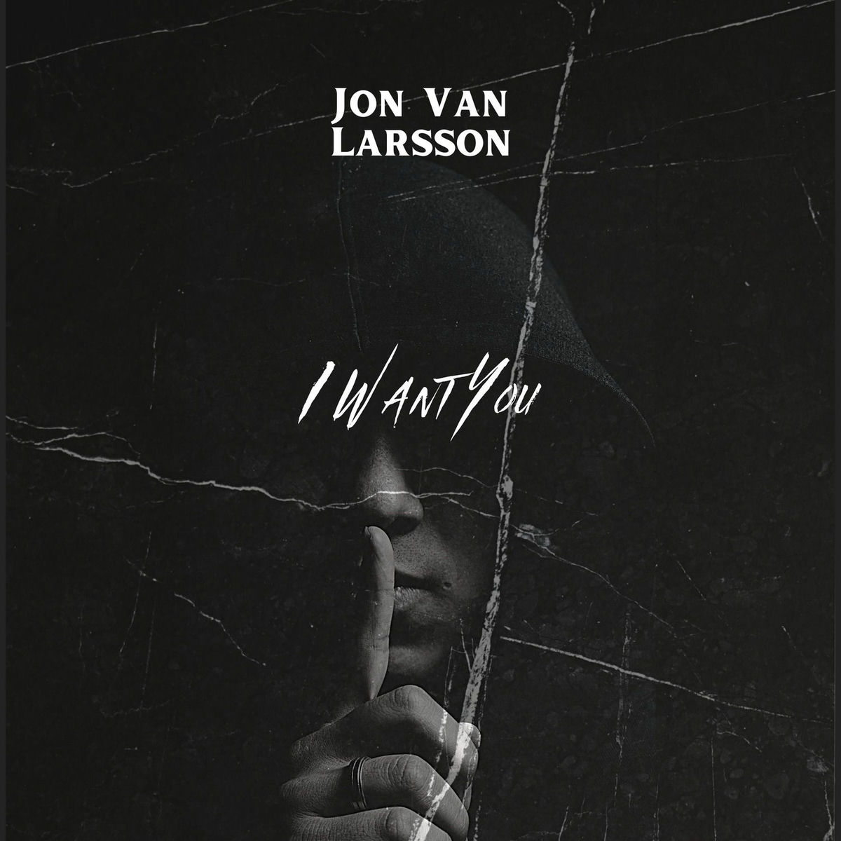 Jon Van Larsson
