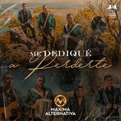 Picture of Maxima Alternativa