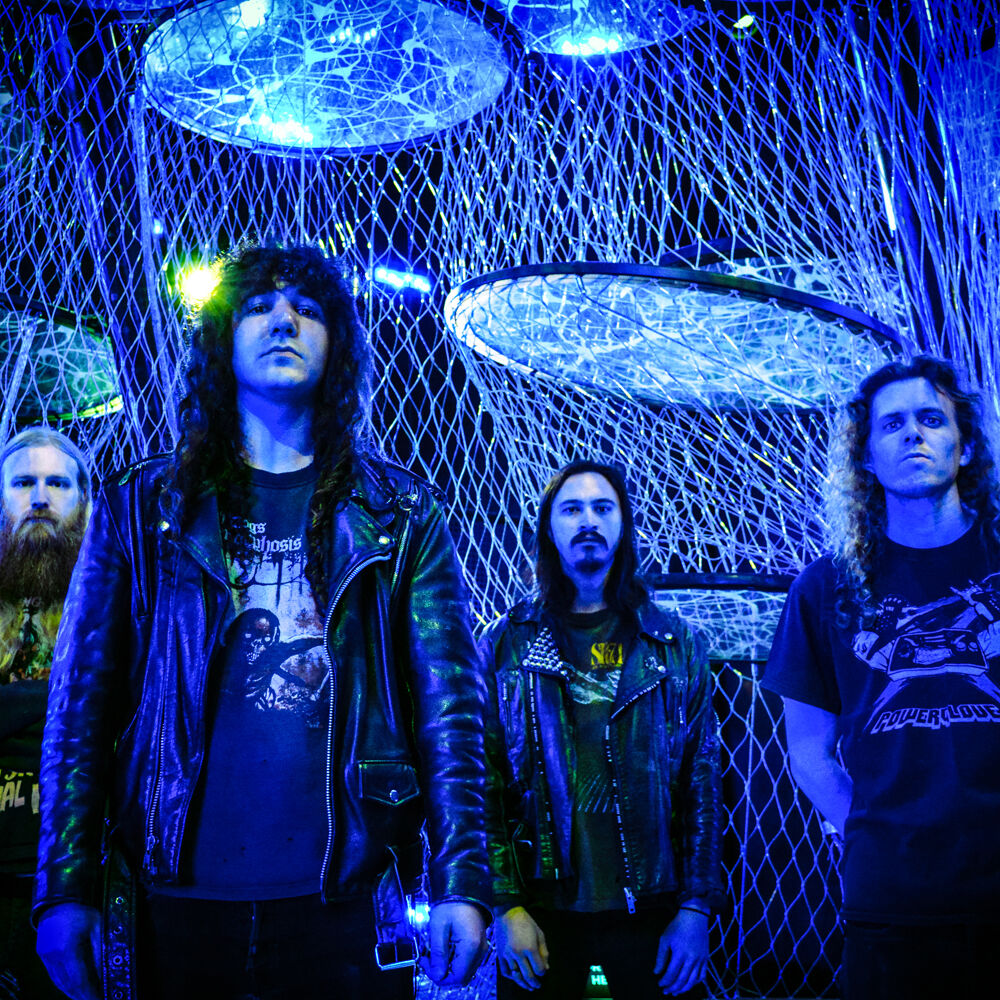 Picture of Vektor