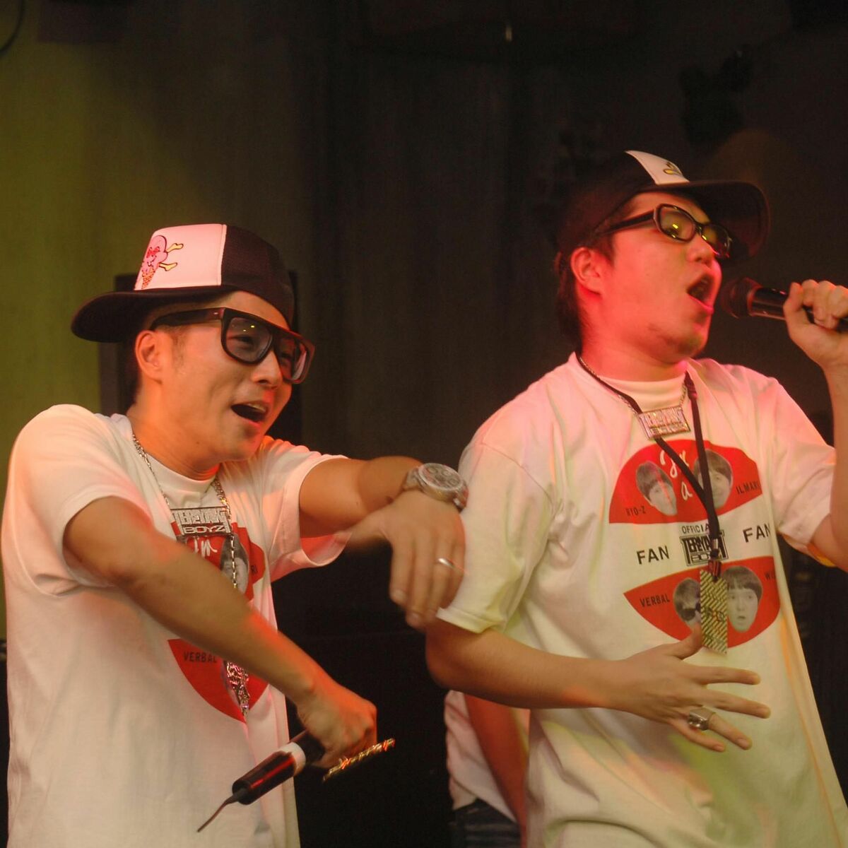 Artist picture of Teriyaki Boyz