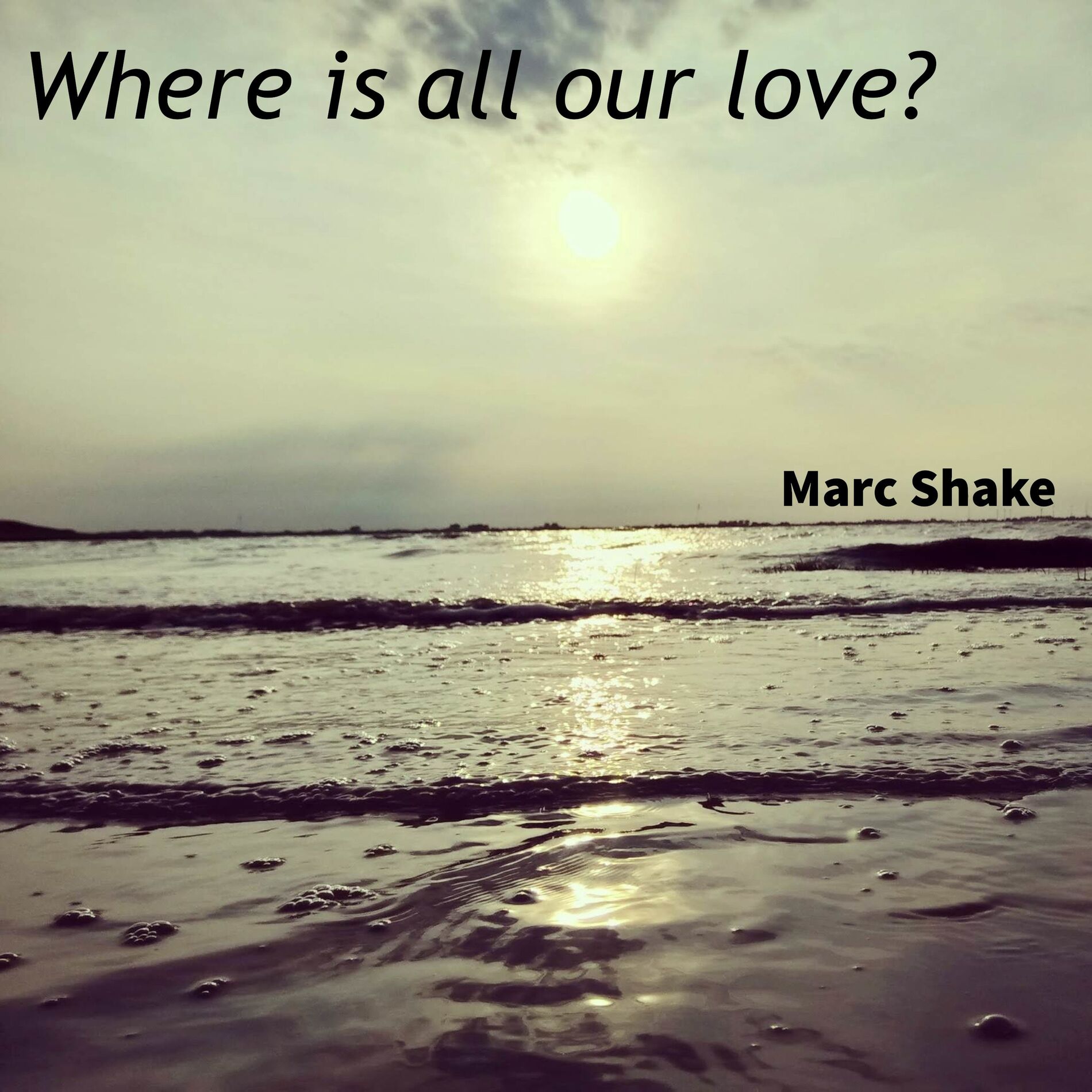 Artist picture of Marc Shake