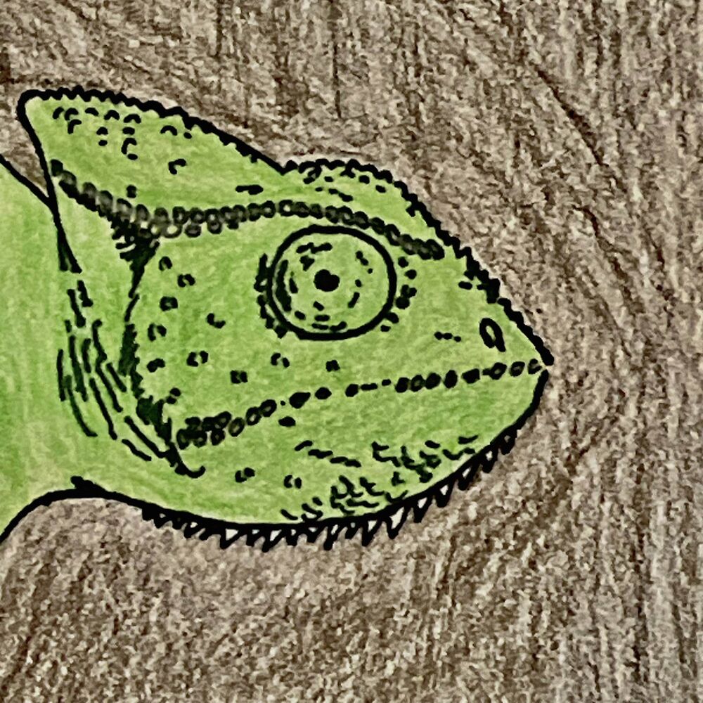 Picture of Murr