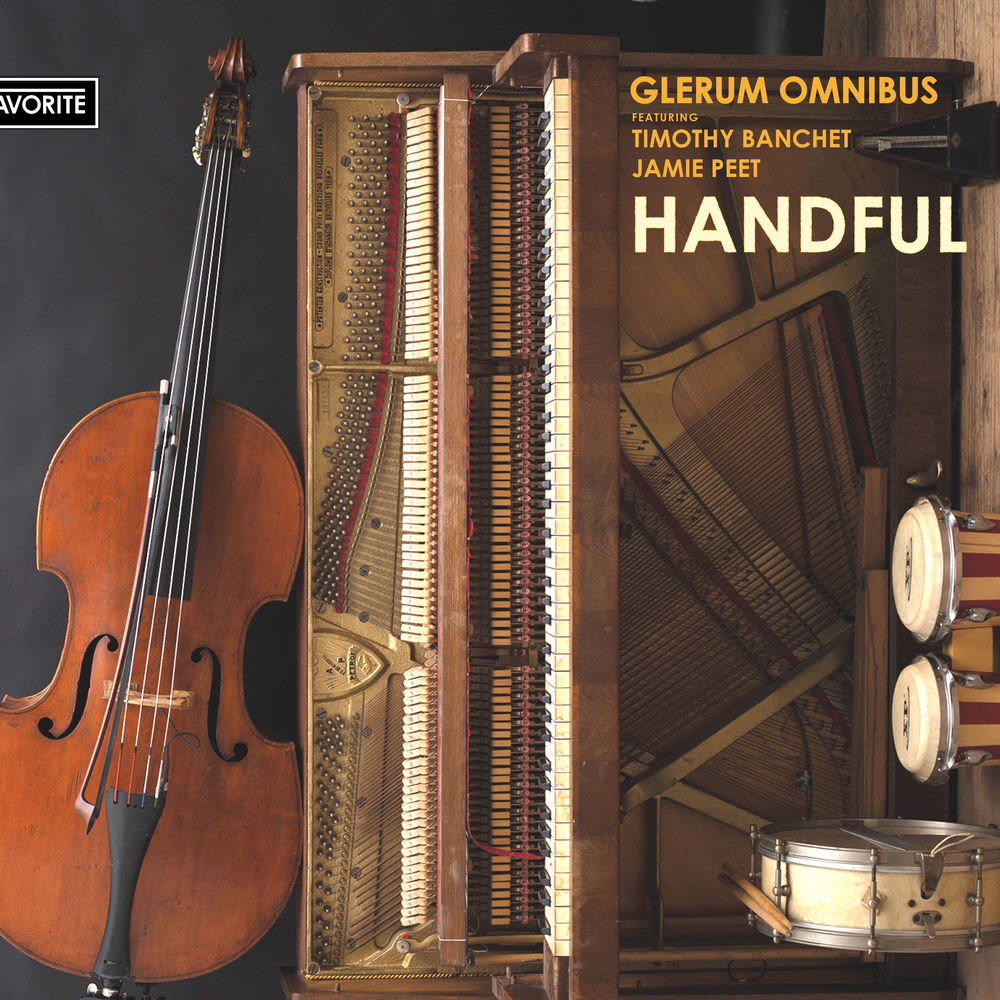 Glerum Omnibus