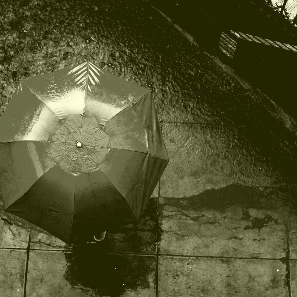 Picture of Rainy Day Music
