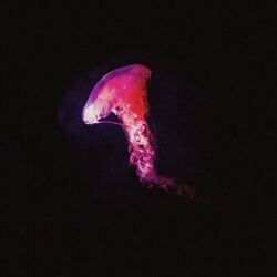 Picture of Donbor