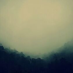Picture of Dreaming Of Ghosts