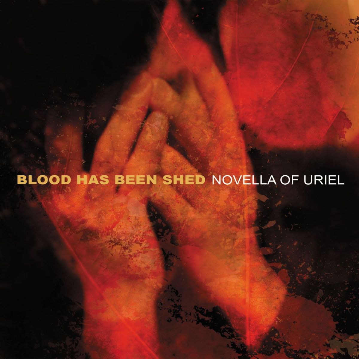 Blood Has Been Shed