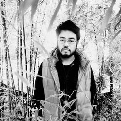 Picture of Yosi Horikawa