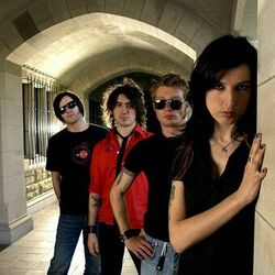 Picture of Magic Dirt