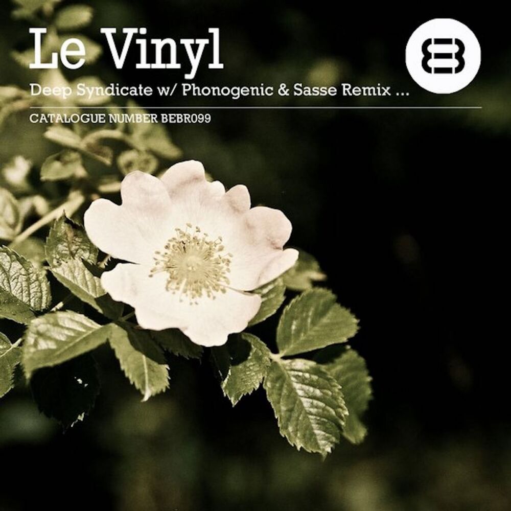 Picture of le vinyl