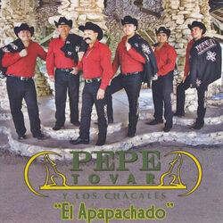 Picture of Pepe Tovar