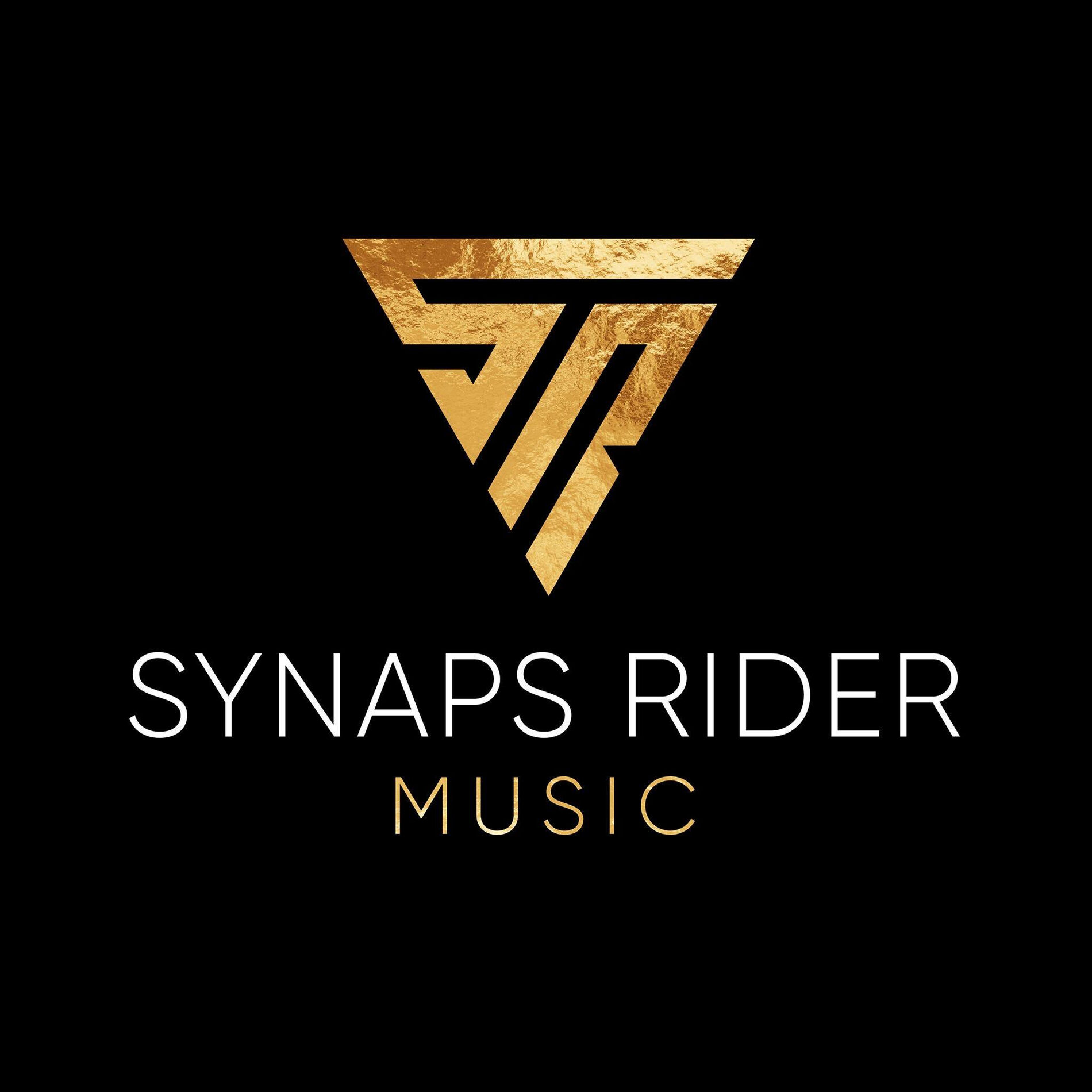 Artist picture of Synaps Rider